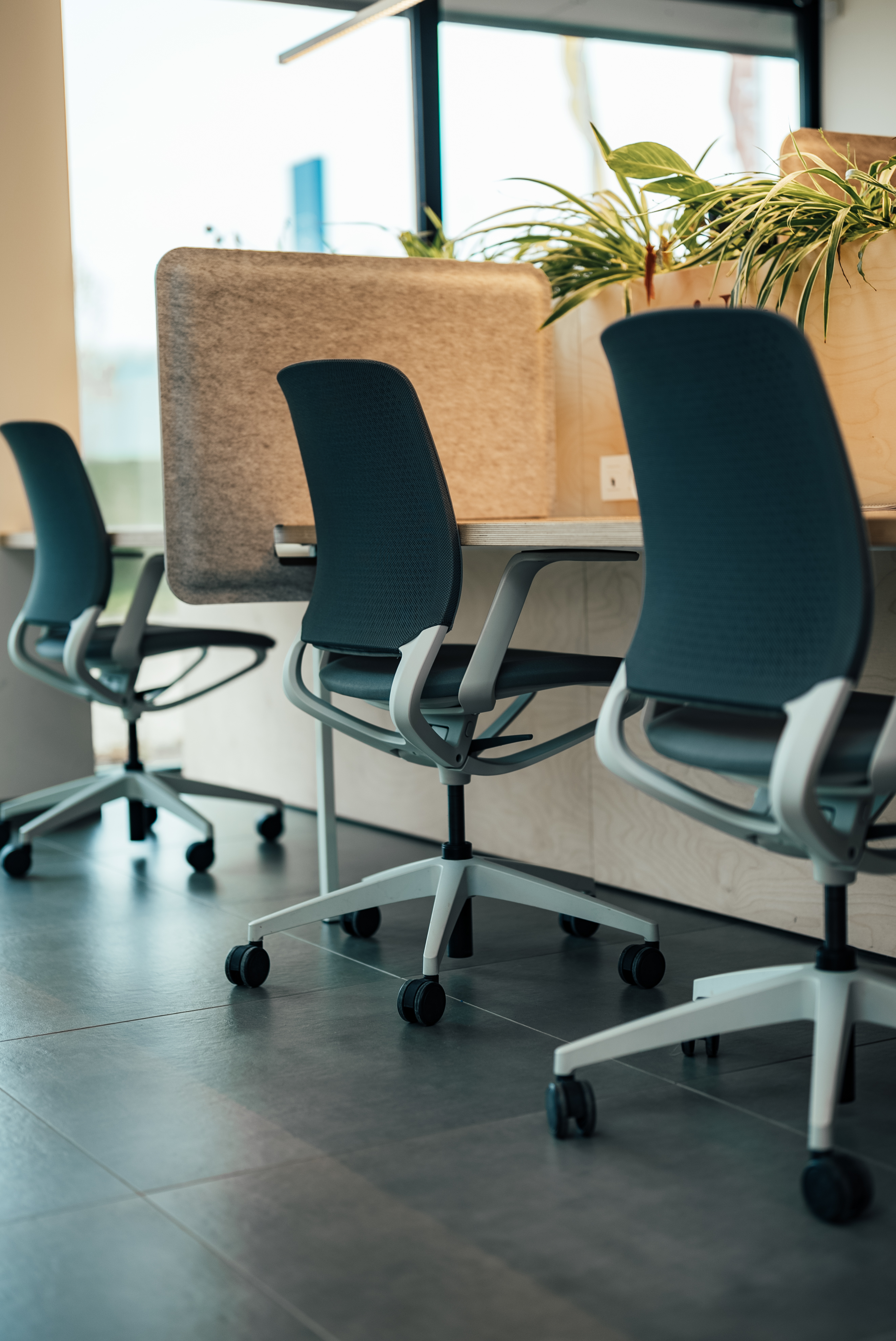 Dedicated Desk at BORA